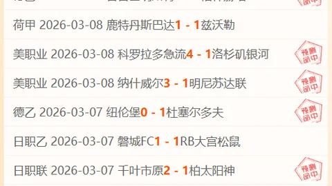 奈梅亨对决埃因霍温，荷兰杯专家推荐及比分揭晓